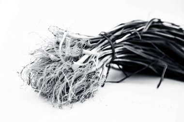 Yakın sarımsak sürgünler veya bahar sarımsak veya genç sarımsak veya bebek sarımsak beyaz izole kadar.