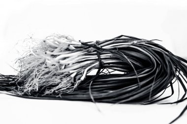 Yakın sarımsak sürgünler veya bahar sarımsak veya genç sarımsak veya bebek sarımsak beyaz izole kadar.