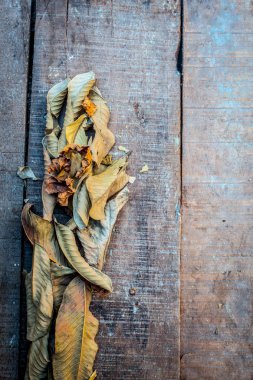 Üzerinde sonbahar kurutulmuş yaprakları ile pürüzlü ahşap bir yüzey üzerinde İngilizce l harfi oluşumu yakın. Aşk kavramı, yalnızlık vb.