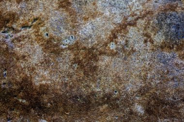 Üzerinde gıda olarak da kullanılan kahverengi renkli kurutulmuş yosun dolu duvar kapatın ve tıbbi özellikleri için.