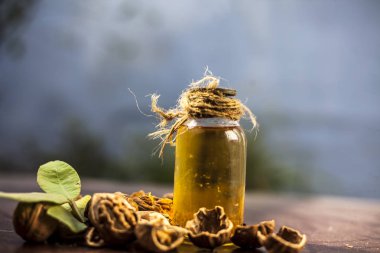 Ahşap yüzeyüzerinde ham duvar fındık ile şeffaf bir cam şişe de bitkisel organik ayıklanmış ceviz yağı yakın.