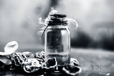 Ahşap yüzeyüzerinde ham duvar fındık ile şeffaf bir cam şişe de bitkisel organik ayıklanmış ceviz yağı yakın.