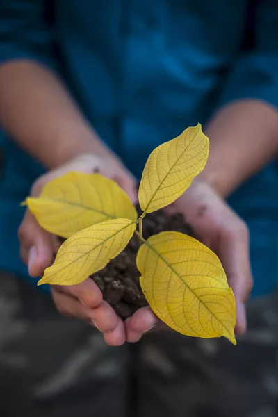 Close Van Menselijke Handen Proberen Moeder Natuur Redden Door Het — Stockfoto