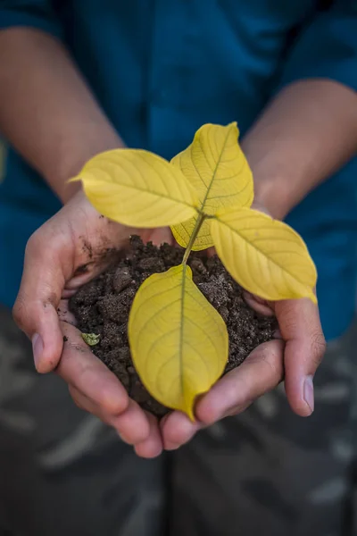 Close Van Menselijke Handen Proberen Moeder Natuur Redden Door Het — Stockfoto