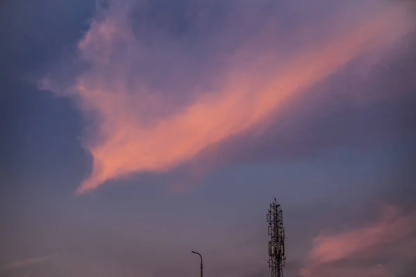 Atardecer Tiro Silueta Los Árboles Concepto Bosque Profundo Soledad Romper — Foto de Stock