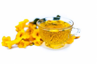 Ham çiçekler ile birlikte şeffaf bir cam bardak beyaz izole Allamanda çiçek bitkisel organik taze ayıklanmış çay yakın.