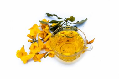 Ham çiçekler ile birlikte şeffaf bir cam bardak beyaz izole Allamanda çiçek bitkisel organik taze ayıklanmış çay yakın.