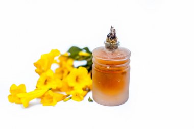 Sarmik renkli çiçek allamanda veya Allamanda cathartica veya Allamanda schottii şeffaf bir şişe içinde bitkisel çiçek yağı ile birlikte beyaz izole denilen yakın.