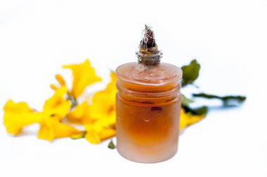 Sarmik renkli çiçek allamanda veya Allamanda cathartica veya Allamanda schottii şeffaf bir şişe içinde bitkisel çiçek yağı ile birlikte beyaz izole denilen yakın.