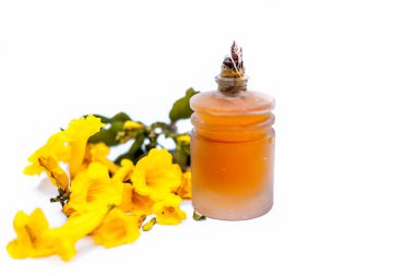 beyaz arka plan üzerinde izole şeffaf cam şişe de uçucu yağ ile sarı allamanda çiçekler  