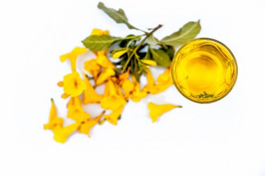 Çiçeklerle birlikte beyaz izole Allamanda çiçek organik taze özü bir bardak yakın.