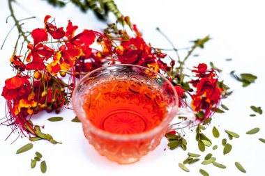 Beyaz izole çiçekler ile şeffaf bir cam bardak tavus kuşu çiçek bitkisel organik taze çay çekim kapatın.