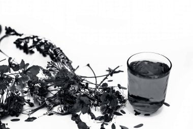 Beyaz izole çiçekler ile şeffaf bir cam tavus kuşu çiçek bitkisel organik taze özü çekim kapatın.