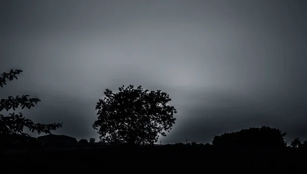 Silhueta Uma Árvore Durante Pôr Sol Com Nuvens Deserto Profundo — Fotografia de Stock