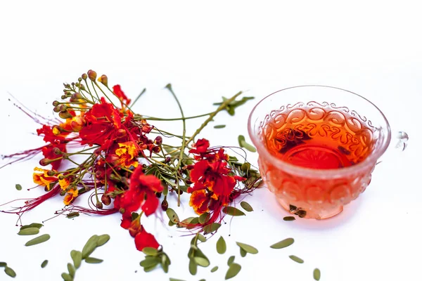 Gros Plan Tisane Bio Fraîche Fleurs Paon Dans Une Tasse — Photo