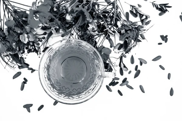 Bliska Strzał Ziołowych Organicznych Świeżej Herbaty Pawie Kwiatów Przezroczystym Szklany — Zdjęcie stockowe