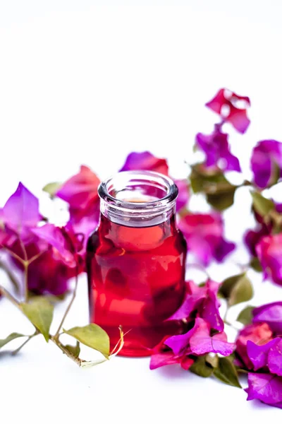 Close Shot Van Biologische Geëxtraheerde Olie Van Bougainvillea Geïsoleerd Wit — Stockfoto