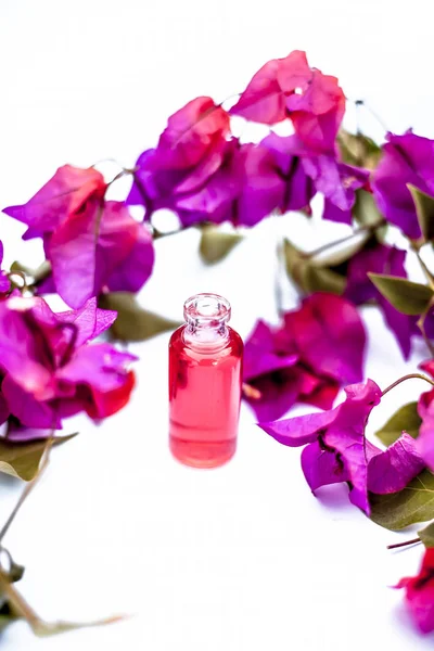 Nahaufnahme Der Essenz Von Bougainvillea Blüten Einer Kleinen Transparenten Glasflasche — Stockfoto