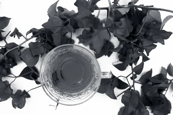 Ham çiçekler ve yaprakları ile beyaz izole şeffaf bir cam bardak Bougainvillea çiçek çay çekim kapatın.