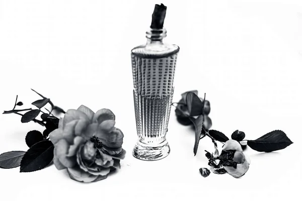 Primer Plano Perfume Aroma Spray Rosa Rosa Gulab Una Botella — Foto de Stock