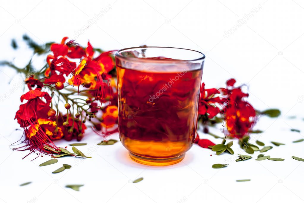 Close up shot of herbal organic fresh extract of peacock flowers in a transparent  glass  with flowers isolated on white.