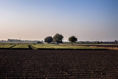 Bazı ağaçlar ve bitki örtüsü ile alanların boş alanlar geniş açılı manzara görünümü.