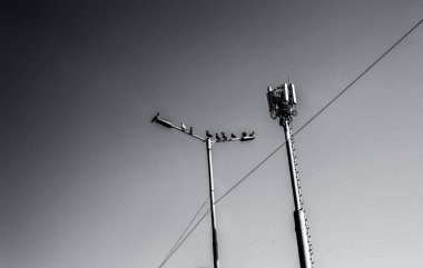 Soyut arka planda yalıtılmış sokak ışıkları.