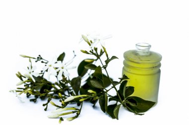 Ham çiçekleri ile küçük bir şeffaf cam şişe beyaz izole Hint yasemin çiçek veya juhi veya Jasminum Auriculatum uçucu yağ yakın.