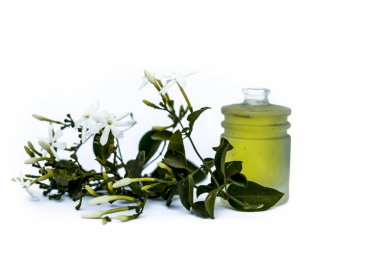 Ham çiçekleri ile küçük bir şeffaf cam şişe beyaz izole Hint yasemin çiçek veya juhi veya Jasminum Auriculatum uçucu yağ yakın.