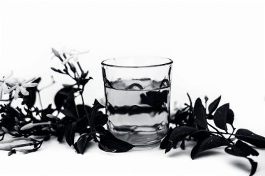 Ham çiçekleri ile şeffaf bir cam beyaz izole Hint yasemin çiçeği veya juhi veya Jasminum Auriculatum özü yakın.