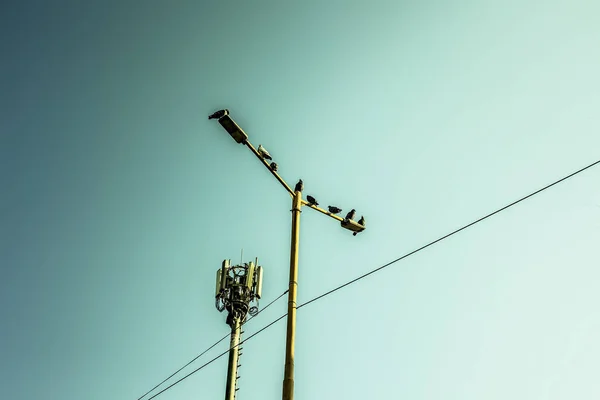 Farolas Aisladas Sobre Fondo Abstracto — Foto de Stock