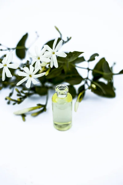 Primo Piano Essenza Olio Essenziale Fiore Gelsomino Indiano Juhi Jasminum — Foto Stock