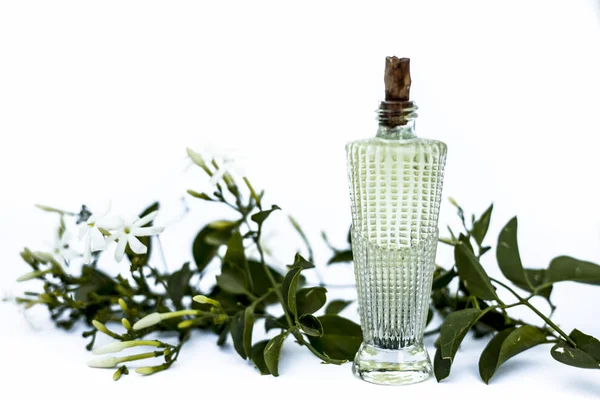 Primer Plano Spray Perfume Flor Jazmín Indio Juhi Jasminum Auriculatum — Foto de Stock