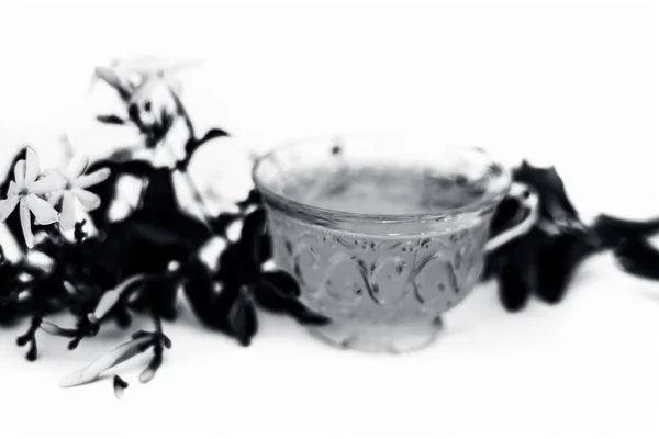 Close Tea Indian Jasmine Flower Juhi Jasminum Auriculatum Isolated White — Stock Photo, Image