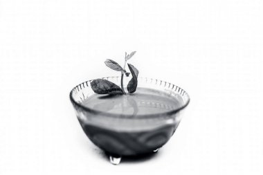 Popüler Hint sosu veya chutney yani Phudina ki chutney şeffaf bir cam kase beyaz izole çekim kapatın.