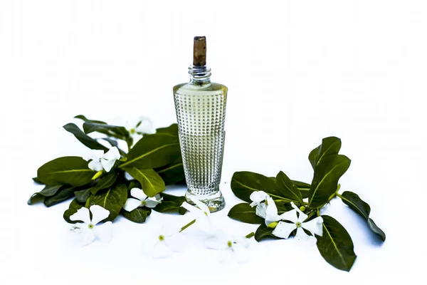 Perfume Botella Con Ingredientes Aislados Sobre Fondo Blanco — Foto de Stock