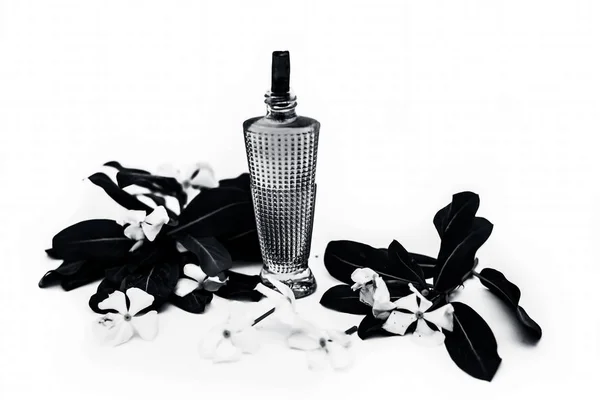 Perfume Frasco Com Ingredientes Isolados Sobre Fundo Branco — Fotografia de Stock