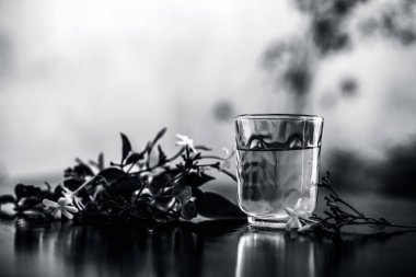 Ham çiçeklerile şeffaf bir cam ahşap yüzeyinde Hint yasemin çiçeği veya juhi veya Jasminum Auriculatum özü yakın.