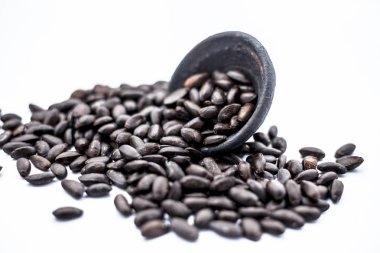 Beyaz izole siyah renkli kil kase kahverengi renkli kurutulmuş muhallebi elma veya sitaphal veya şeker elma tohumları yakın.