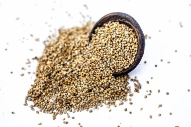 Beyaz üzerine izole edilmiş kil bir kapta inci darı veya bajra veya Pennisetum glaucum tanelerinin yakın.