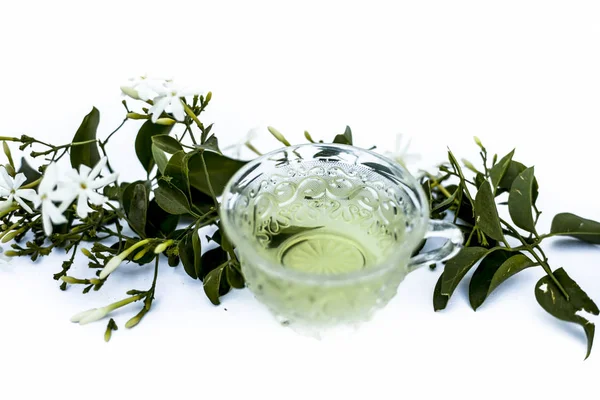 Nahaufnahme Von Tee Der Indischen Jasminblüte Oder Juhi Oder Jasminum — Stockfoto