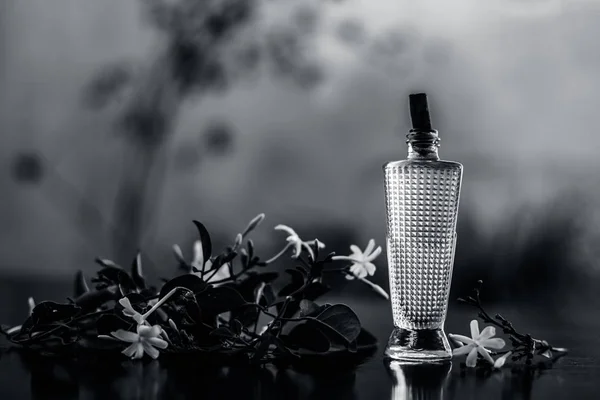 Close Spray Perfume Jasmim Indiano Flor Juhi Jasminum Auriculatum Superfície — Fotografia de Stock