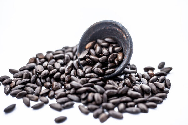 Close up of brown colored dried custard apples or sitaphal or sugar apple seeds in a black colored clay bowl isolated on white.