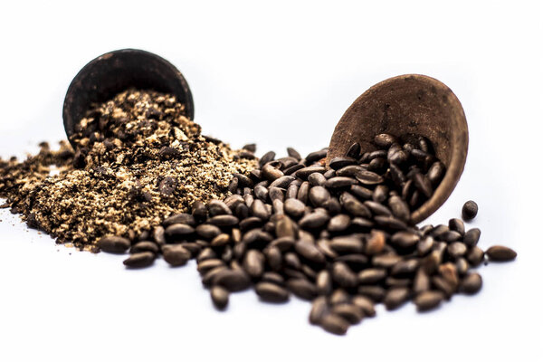 Close up of brown colored dried custard apples or sitaphal or sugar apple seeds in a black colored clay bowl and its powder of grounded seeds in a brown colored clay bowl isolated on white.
