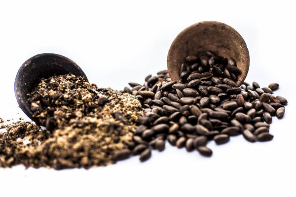 Close up of brown colored dried custard apples or sitaphal or sugar apple seeds in a black colored clay bowl and its powder of grounded seeds in a brown colored clay bowl isolated on white.