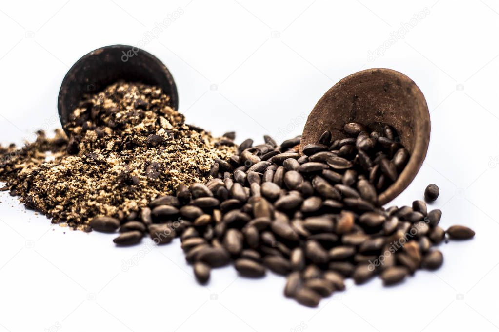 Close up of brown colored dried custard apples or sitaphal or sugar apple seeds in a black colored clay bowl and its powder of grounded seeds in a brown colored clay bowl isolated on white.