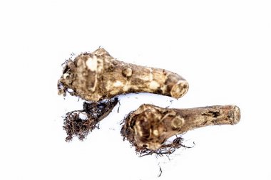 Kathal veya kathal ki chal veya kathal ki gad veya kathal ki jed olarak da bilinen beyaz izole jack meyve veya Jackfruit kökleri nadir sebze yani kökleri nin yakın et ve sebze lezzet için kullanılan.