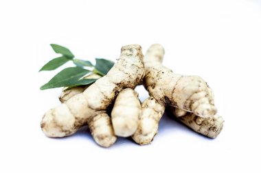 Yakın popüler Hint & Asya ham organik bitki veya ayurvedik bitki beyaz yani amba haldi veya Mango zencefil veya beyaz zencefil veya Curcuma amada izole.