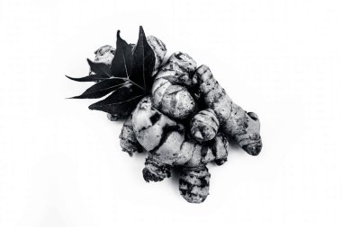 Yakın popüler Hint & Asya ham organik bitki veya ayurvedik bitki beyaz yani amba haldi veya Mango zencefil veya beyaz zencefil veya Curcuma amada izole.