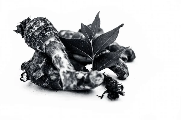 กหายากเช รากของผลไม คหร อรากผลไม Jackfruit แยกก นบนส ขาวท นในช Kathal — ภาพถ่ายสต็อก